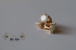 Gold Enchantment Earrings (enamored collection)