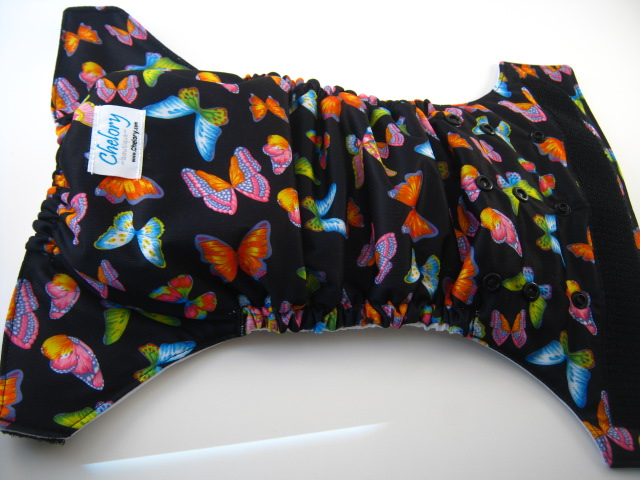 Butterflies