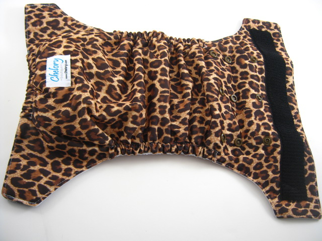 Leopard