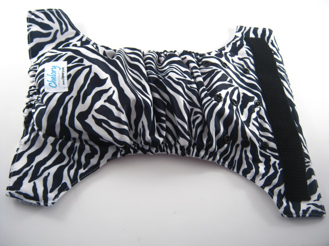 Zebra