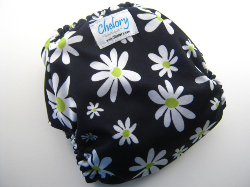 Midnight Daisies