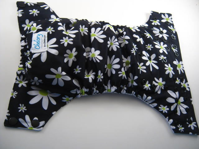 Midnight Daisies