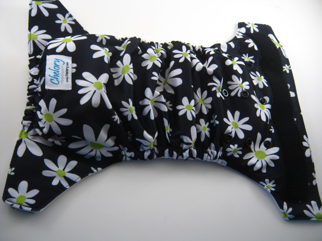 Midnight Daisies