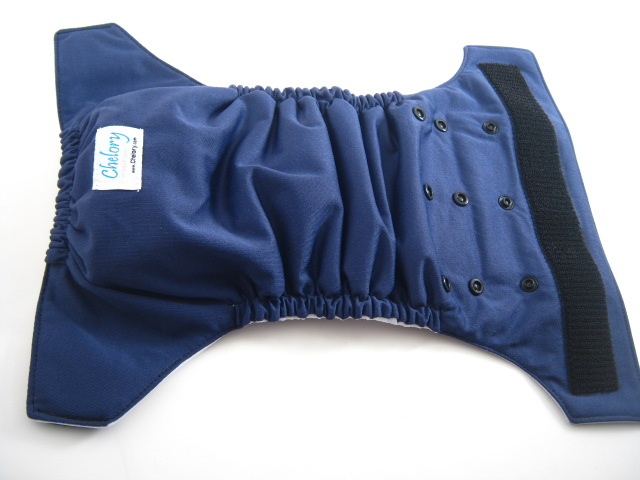 Navy