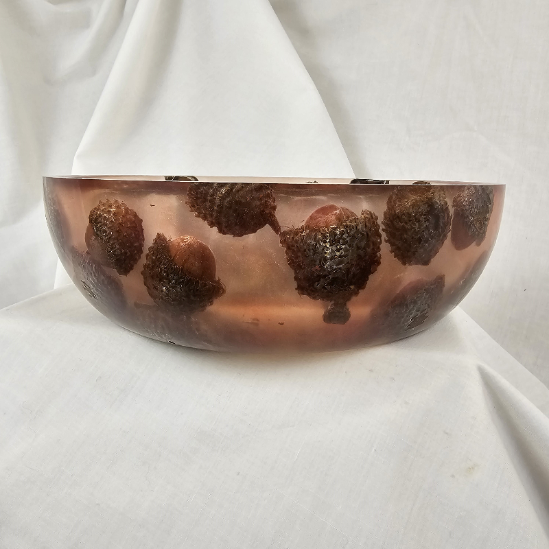Crazy (Nutty?) Burr Oak Acorn Bowl (9" x 3")