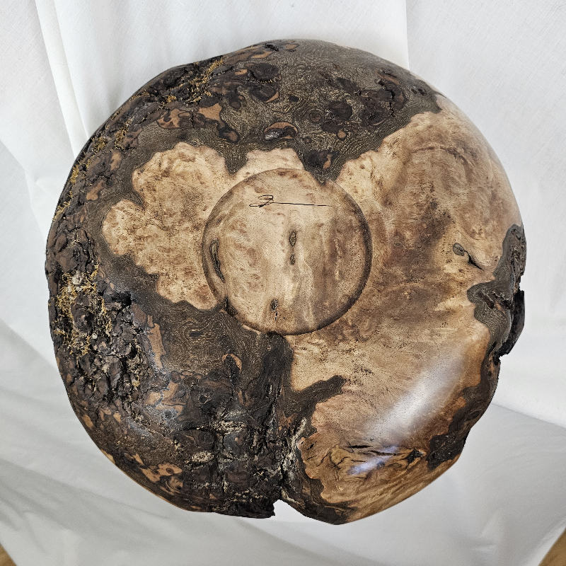 Walnut Burl Bowl (14-1/2" x 3")